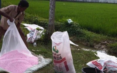 Kabar Gembira, Pupuk dari Batu Bara Karya Anak Bangsa Raih Hak Paten di AS