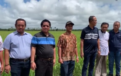 Kabupaten Pulang Pisau Bekerja Sama dengan BULOG dan FKDB Siap Kembangkan Modern Rice Milling Plant