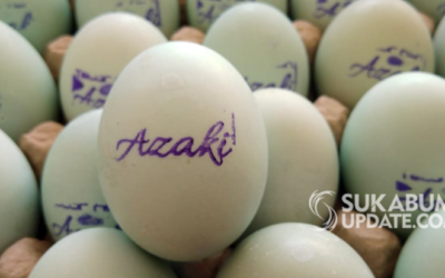 Sukses Usaha Tempe dan Pupuk Batu-bara, FKDB Mulai Kembangkan Produksi Telur Asin