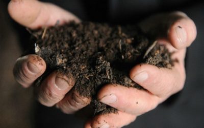 Karya Anak Bangsa Raih Hak Paten di Amerika Serikat