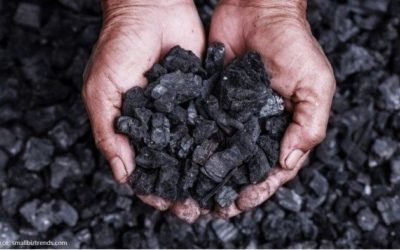 Pupuk Karya Anak Bangsa yang Berbahan Dasar Batu Bara Berhasil Meraih Hak Paten di AS