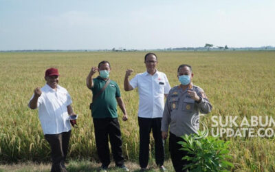 Ketum FKDB: Program FKDB on Farm Adalah untuk Kepentingan Kesejahteraan Petani