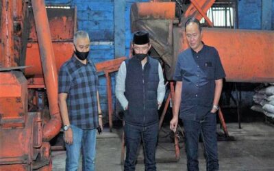 Pupuk Batubara Ini Dapat Menjadikan Indonesia Lumbung Pangan Dunia