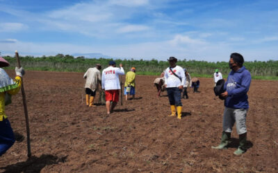 Dukung Ketahanan Pangan Nasional, KITA dan FKDB Galakkan Penanaman Padi Gogo Rancah