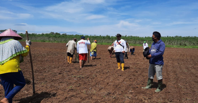 Dukung Ketahanan Pangan Nasional, KITA dan FKDB Galakkan Penanaman Padi Gogo Rancah