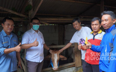 FKDB Launching Program Paroan Sapi di Kabupaten Sukabumi