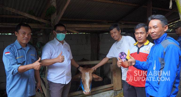 FKDB Launching Program Paroan Sapi di Kabupaten Sukabumi