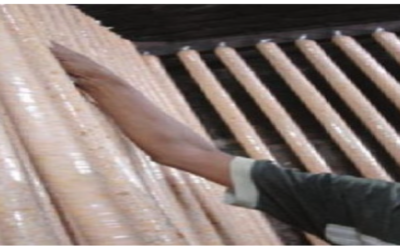 Produk Tempe Lampung Diharap Mendunia