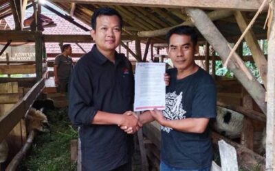 Serahkan 4 Ekor Domba, FKDB Konsisten Jalankan Program Prioritas