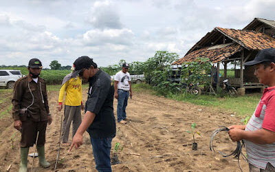 DPD FKDB Provinsi Lampung Jalin Kerjasama Dengan Dinas Tanaman Pangan dan Hortikultura Provinsi Lampung