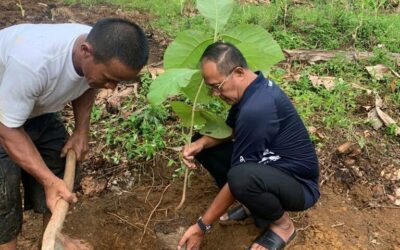 Bekal Generasi Muda, Ayep Zaki Tanam Pohon Jati di Pasirsuren Sukabumi