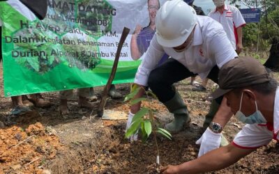 Ayep Zaki Tanam Pohon Induk di Teritip Balikpapan