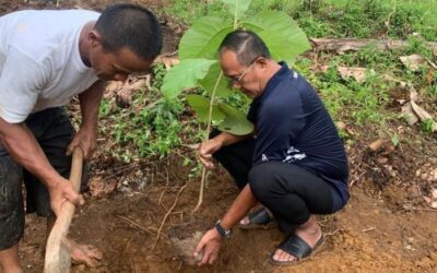 Aktif Tanam Pohon, Gubernur Jabar Beri Ayep Zaki Sertifikat Penghargaan