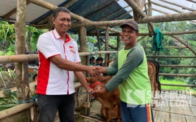 Program Paroan Berlanjut, FKDB Kirim 8 Sapi untuk Warga Sukabumi dan Cianjur