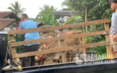 Program Paroan Berlanjut, FKDB Kirim Dua Sapi untuk Warga Cicantayan