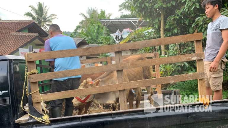 Program Paroan Berlanjut, FKDB Kirim Dua Sapi untuk Warga Cicantayan