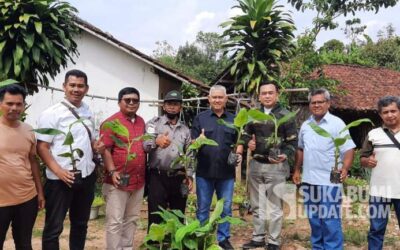 RPH dan Divisi Pertanian FKDB Kerjasama Budidaya Pisang Cavendish di Sukabumi