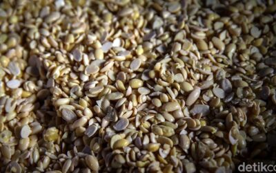 Kedelai Impor Ancam Harga Tahu-Tempe Naik, Produksi Lokal Bisa Digeber?