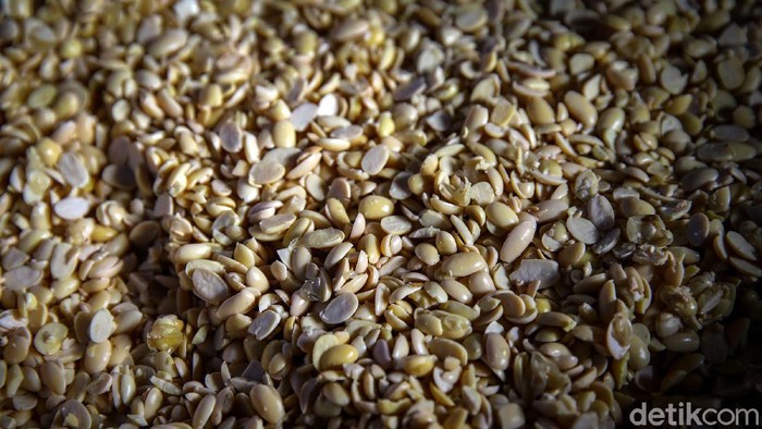 Kedelai Impor Ancam Harga Tahu-Tempe Naik, Produksi Lokal Bisa Digeber?