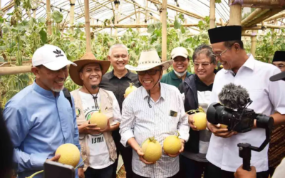 Doa Bangsa Agrobisnis Binaan FKDB Gelar Panen Perdana Melon di Lodaya Sukabumi