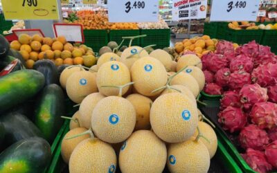 Melon Premium Milik Doa Bangsa Agrobisnis Mengembangkan Pasar Supermarket Cek Selengkapnya