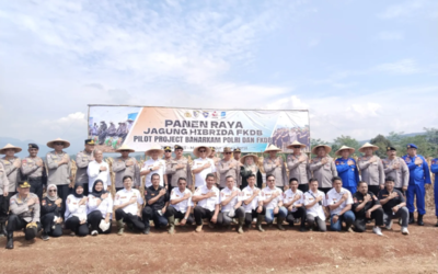 Panen Raya Jagung Hibrida Kolaborasi FKDB-Baharkam Polri Sukses Digelar di Cianjur