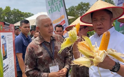 GPTPN ke-X 2025: Doa Bangsa Agrobisnis kenalkan Jagung Hibrida Varietas DBA01